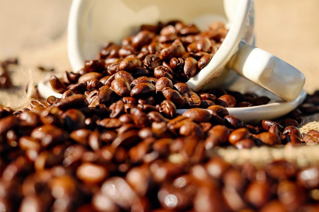 Tipos de grãos de café